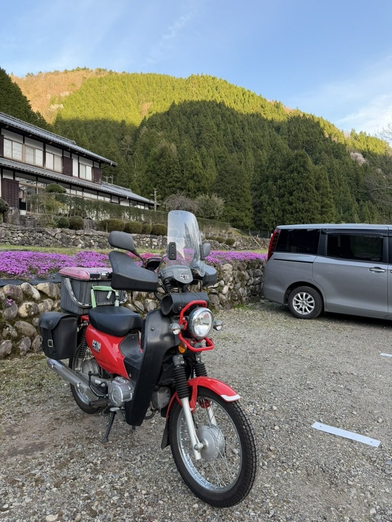 國田家の芝桜 駐車場のクロスカブと斜面の芝桜