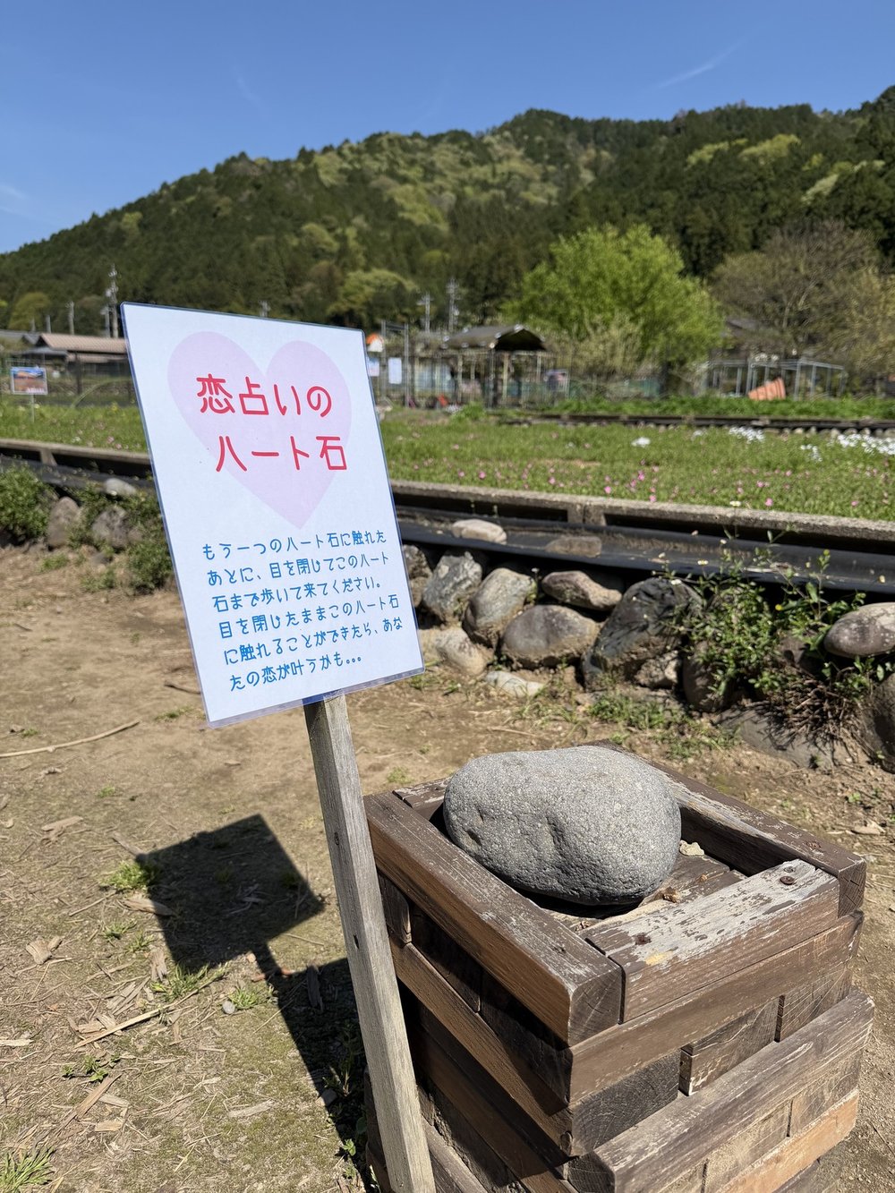 洲原ひまわりの里 恋占いのハート石とピンクの説明看板