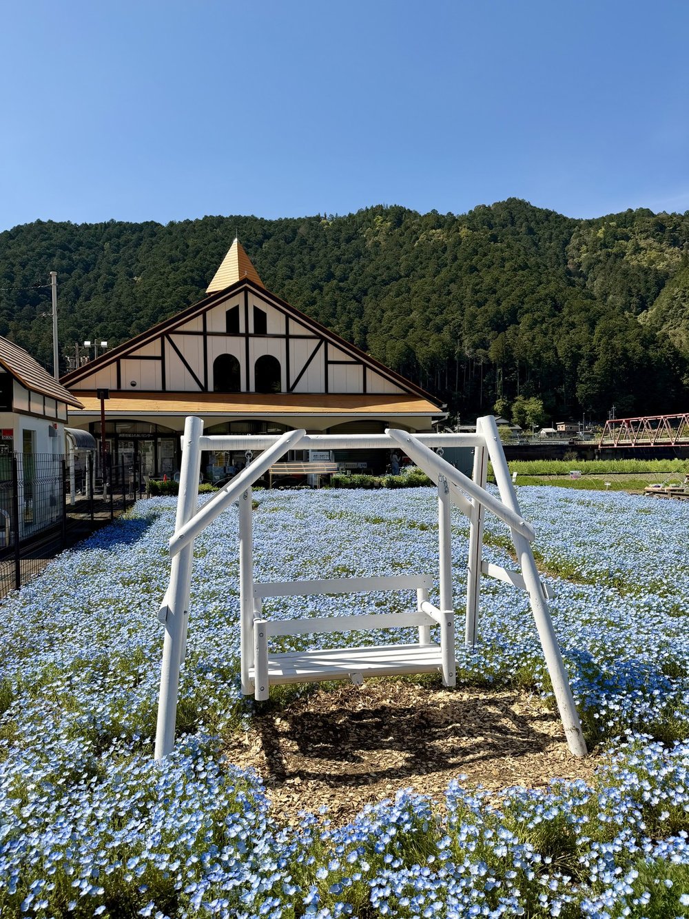洲原ひまわりの里 ネモフィラ畑の白いブランコと三角屋根建物