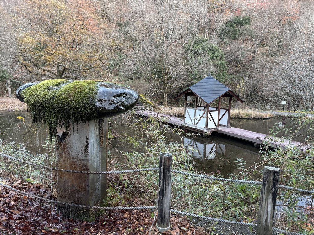 道の駅明宝の下にある公園の池と苔の岩