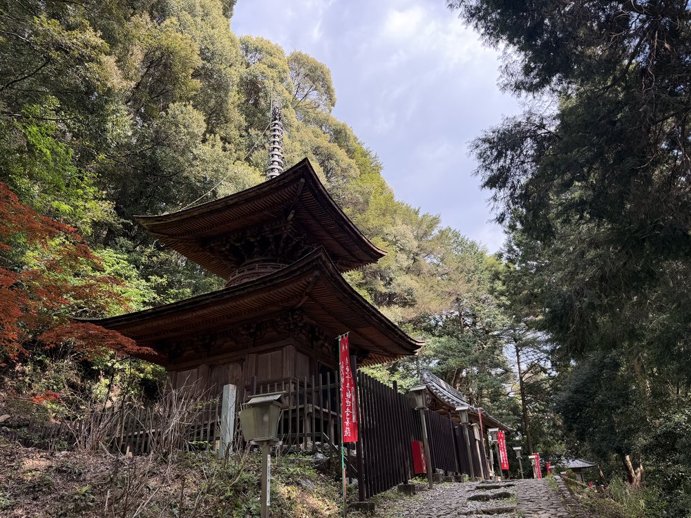 日龍峯寺の多宝塔の遠景