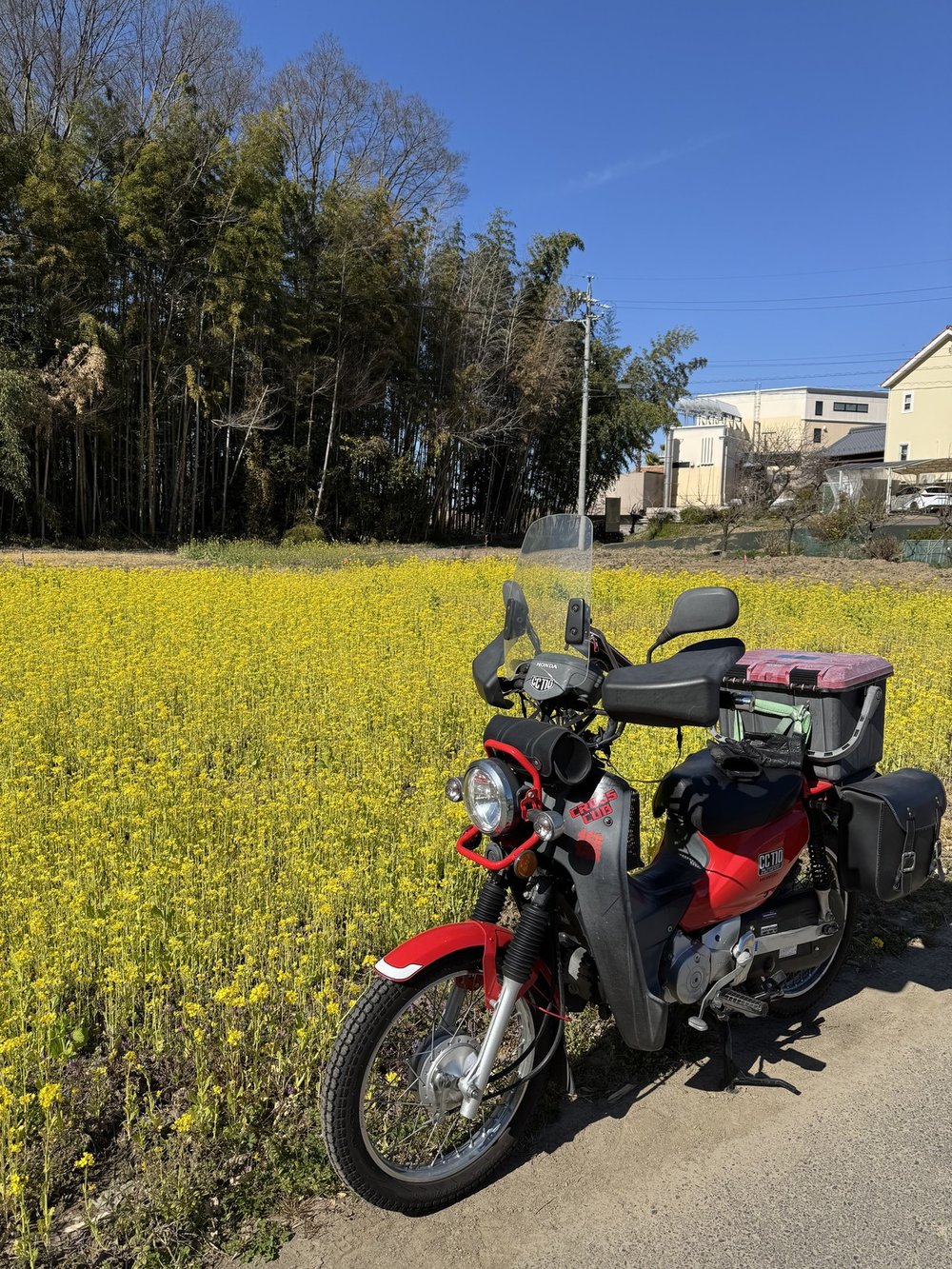 春の菜の花畑とクロスカブ110 のんびり下道ツーリング