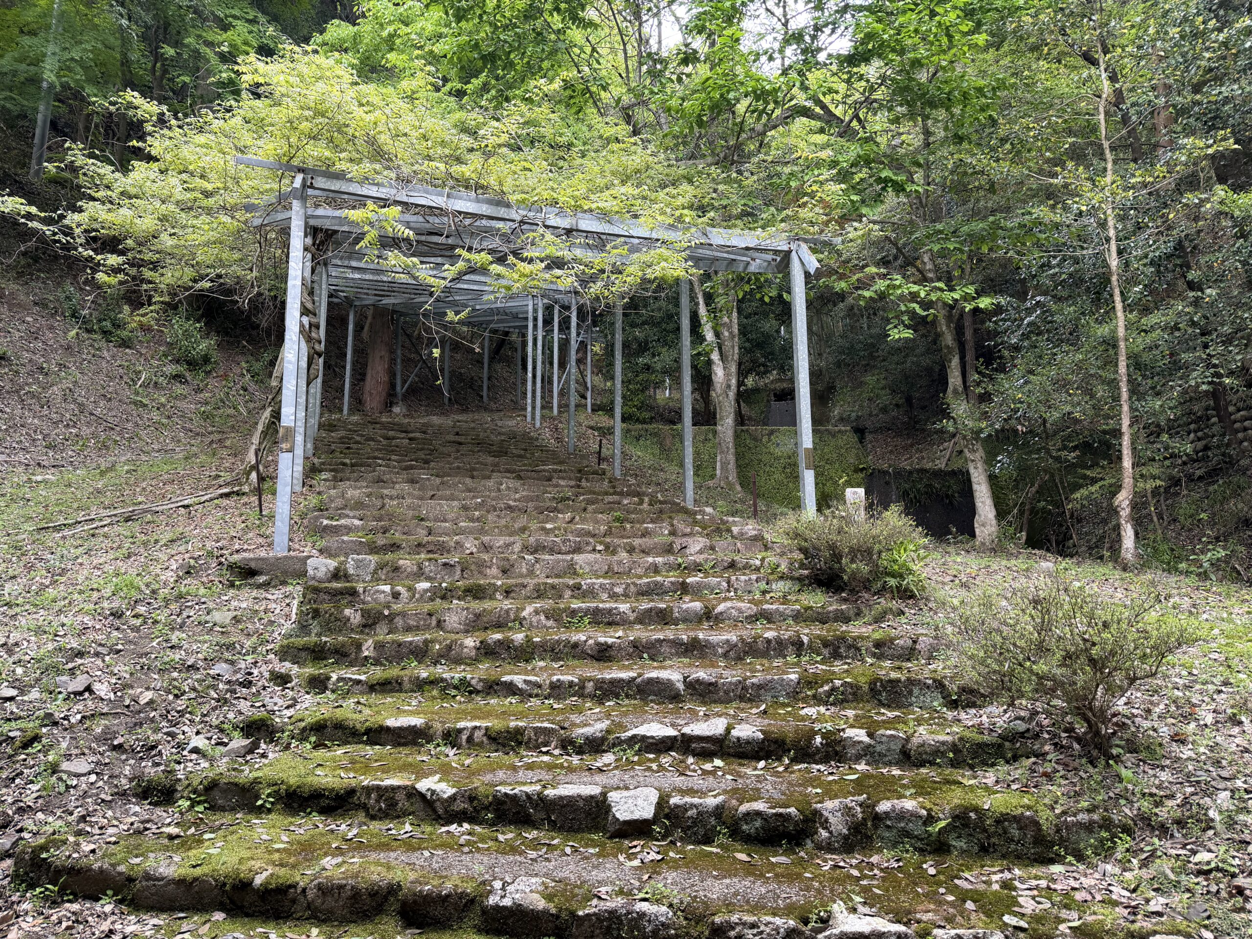 日龍峯寺の仁王門から続く参道