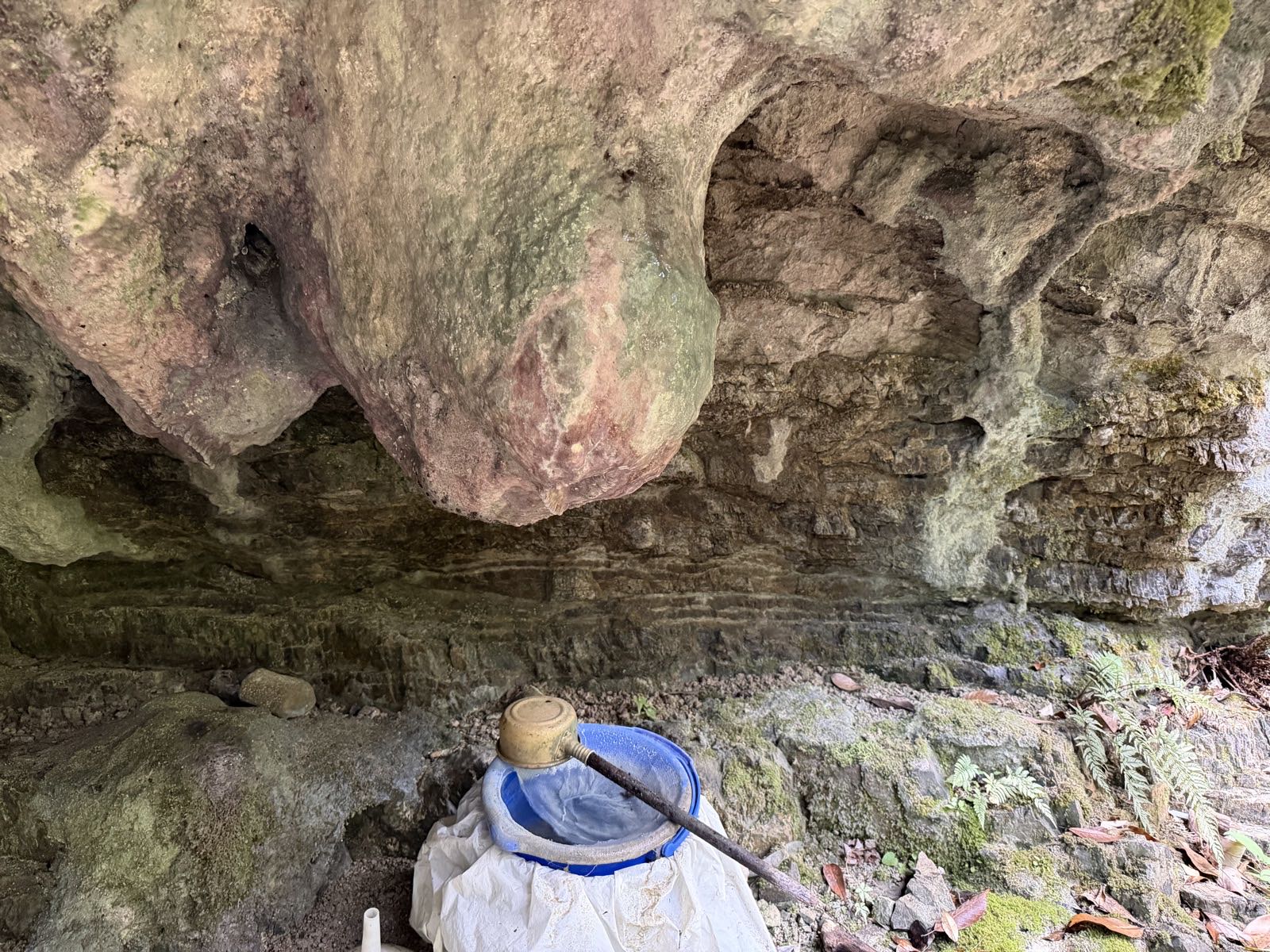 乳岩神社の岩室の天井から下がる乳房型の鍾乳石